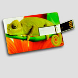 druk cyfrowy Poznań - druk cyfrowy Warszawa - Pendrive z nadrukiem Pendrive z nadrukiem