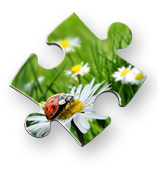 druk cyfrowy Poznań | druk cyfrowy Warszawa Fotopuzzle Fotopuzzle - puzzle z Twoimi zdjęciami